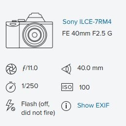 2025 January Flickr Photo Details Block